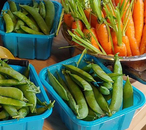 Seasonal Produce Powell River B.C.